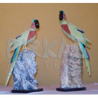 Loro de Serpentina