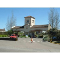 SANTA MARA DE LOS OLIVOS | 1208