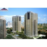 FOREST BOULEVARD | 9817