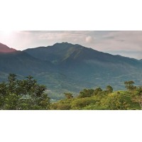 HACIENDA DOS MADEROS | 10089