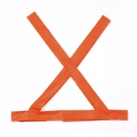 Bandlera fluor