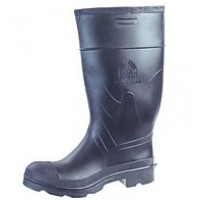 Bota bata negra