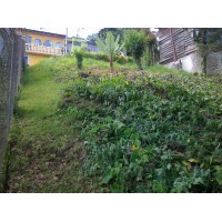 Terreno en San Lucas Sacatepequez, Guatemala
