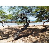Terrenos de litoral en venta