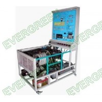 Formacin del motor de combustible dual