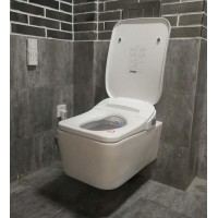 DG560  Desagualr  por pared cuadrado retrete inteligencia