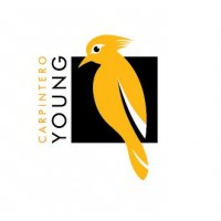 CARPINTERO YOUNG