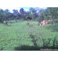 TERRENO RUSTICO EN GUAZAPA