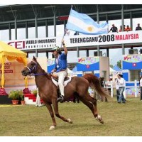 EQUIDIET ENERGIE