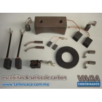 Escobillas & sellos de carbon