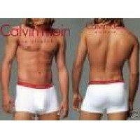 boxer  caballero