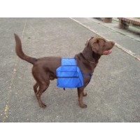 CARGADOR DE PESAS PARA PERRO