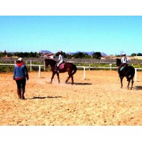 EQUIDIET BASE