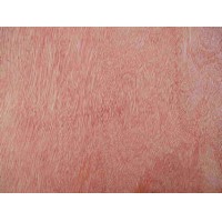bingtangor plywood