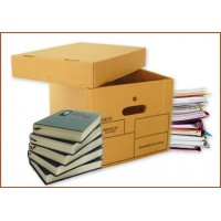 cajas archiveras