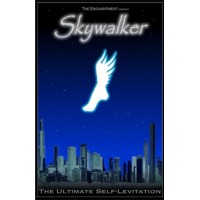 SKYWALKER (LIBRO)