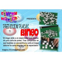 PREDICCION PLACAS BINGO