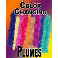PLUMAS CAMALEON