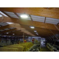 Iluminacin ms adecuada para el crecimiento lechero