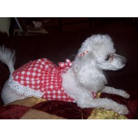 Solera- Ropa para mascotas
