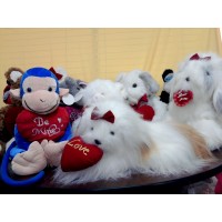 Tony Collection - Todo Peluche