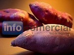 BATATA COLORADA