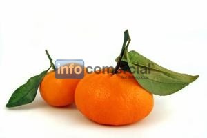 MANDARINA ENCORE