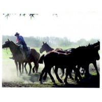 Descubr un DIA DE CAMPO !!!!!!!