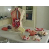 MAQUETAS Y SIMULADORES