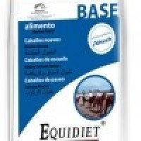 BASE EQUIDIET