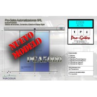 puerta automaitca