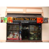 Carteles Frontales