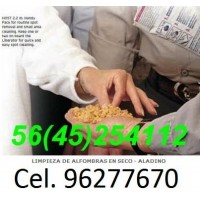 LIMPIEZA DE ALFOMBRAS EN SECO